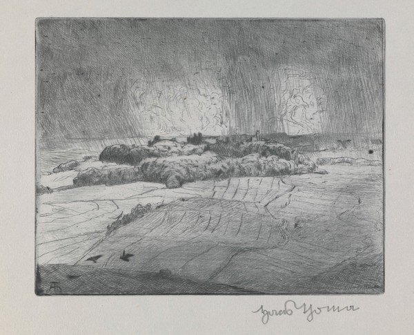 Seifriedsberg, Bavaria: landscape in a rain storm. Etching by H. Thoma, 1917.