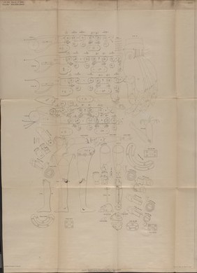 Specification of Henry Wilms : artificial limbs.