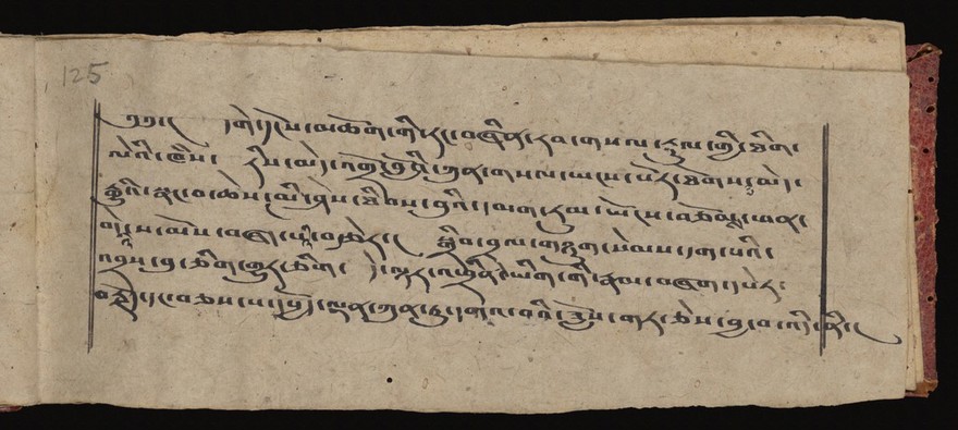 Wellcome Tibetan 69, folio 125 recto.