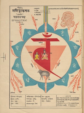Svāmihaṃsasvarūpakr̥tam Ṣaṭcakranirūpaṇacitram : bhāṣyasamalaṃkr̥taṃ bhāṣāṭīkopetañ ca = Shatchakra niroopana chittra with bhashya and bhasha containing the pictures of the different nerves and plexuses of the human body with their full description showing the easiest method how to practise pranayam by the mental suspension of breath through meditation only ; by Shri Swami Hansa Swaroop.