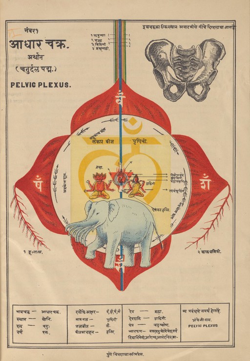 MS Sanskrit 391. Authored by Svami Hamsasvarupa, 1900s.