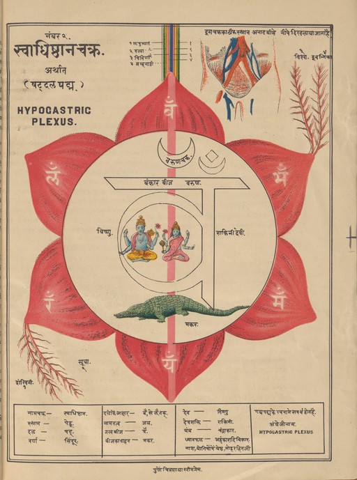 MS Sanskrit 391. Authored by Svami Hamsasvarupa, 1900s.
