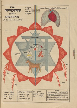 Svāmihaṃsasvarūpakr̥tam Ṣaṭcakranirūpaṇacitram : bhāṣyasamalaṃkr̥taṃ bhāṣāṭīkopetañ ca = Shatchakra niroopana chittra with bhashya and bhasha containing the pictures of the different nerves and plexuses of the human body with their full description showing the easiest method how to practise pranayam by the mental suspension of breath through meditation only ; by Shri Swami Hansa Swaroop.