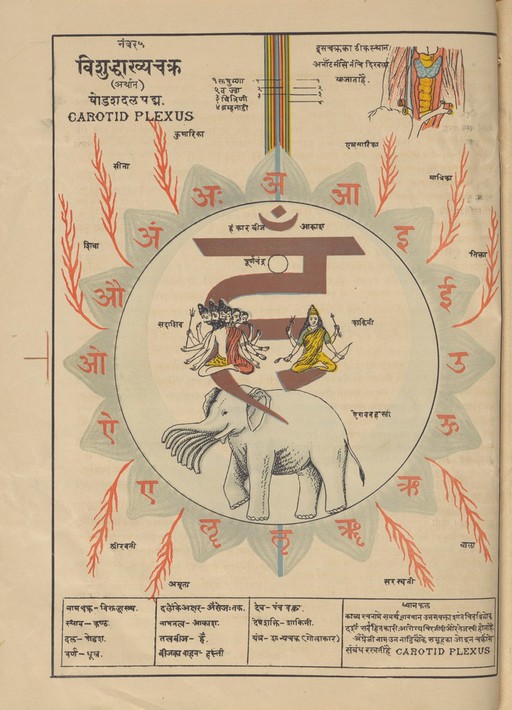 MS Sanskrit 391. Authored by Svami Hamsasvarupa, 1900s.