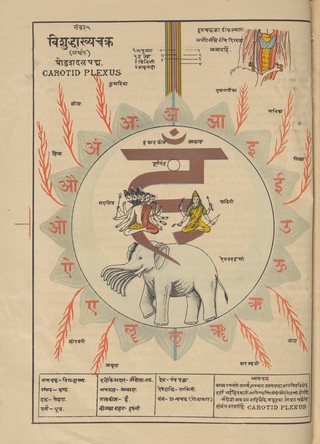 Svāmihaṃsasvarūpakr̥tam Ṣaṭcakranirūpaṇacitram : bhāṣyasamalaṃkr̥taṃ bhāṣāṭīkopetañ ca = Shatchakra niroopana chittra with bhashya and bhasha containing the pictures of the different nerves and plexuses of the human body with their full description showing the easiest method how to practise pranayam by the mental suspension of breath through meditation only ; by Shri Swami Hansa Swaroop.