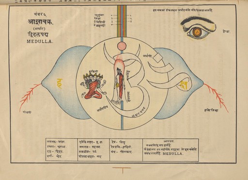 MS Sanskrit 391. Authored by Svami Hamsasvarupa, 1900s.