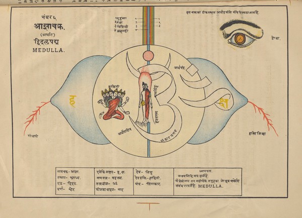 Svāmihaṃsasvarūpakr̥tam Ṣaṭcakranirūpaṇacitram : bhāṣyasamalaṃkr̥taṃ bhāṣāṭīkopetañ ca = Shatchakra niroopana chittra with bhashya and bhasha containing the pictures of the different nerves and plexuses of the human body with their full description showing the easiest method how to practise pranayam by the mental suspension of breath through meditation only ; by Shri Swami Hansa Swaroop.