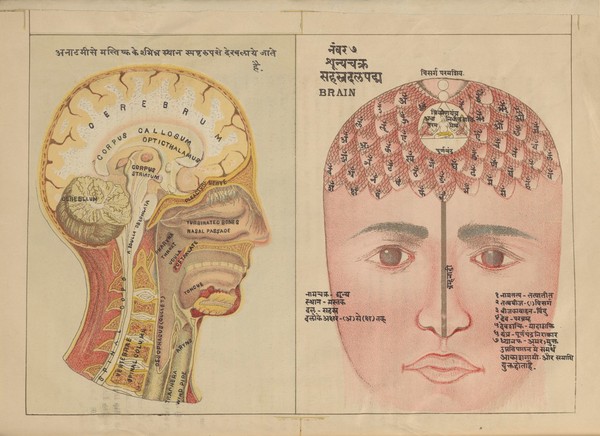 Svāmihaṃsasvarūpakr̥tam Ṣaṭcakranirūpaṇacitram : bhāṣyasamalaṃkr̥taṃ bhāṣāṭīkopetañ ca = Shatchakra niroopana chittra with bhashya and bhasha containing the pictures of the different nerves and plexuses of the human body with their full description showing the easiest method how to practise pranayam by the mental suspension of breath through meditation only ; by Shri Swami Hansa Swaroop.