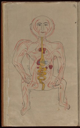 Human figure showing arteries and viscera, Persian, 18th C