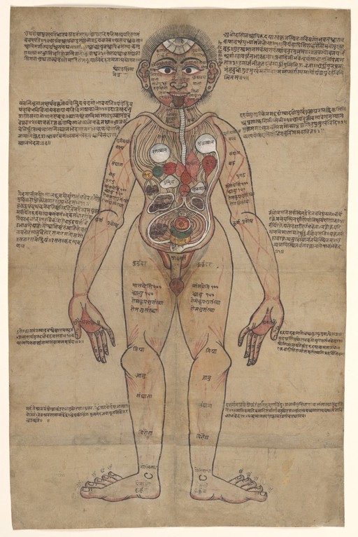 The Ayurvedic Man, c.18th century.