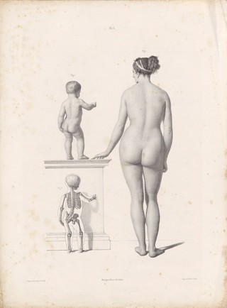 The anatomy of the external forms of man : intended for the use of artists, painters and sculptors / By J. Fau ; edited with additions by Robert Knox. With an atlas of twenty-eight plates, quarto.