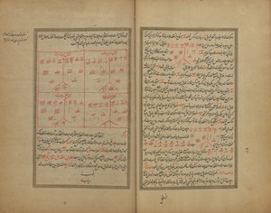 view Folio 30v-31r, Wellcome MS Persian 466.