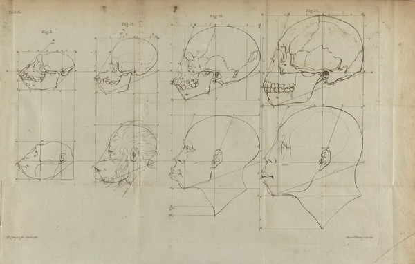 Dissertation physique ... sur les différences réelles que présentent les traits du visage chez les hommes de différents pays et de différents âges : sur le beau qui caractèrise les statues antiques et les pierres gravées. Suivie de la proposition d'une nouvelle méthode pour déssiner toutes sortes de têtes humaines / ... Publiée ... par ... Adrien Gilles Camper ... traduite du hollandois par Denis Bernard Quatremere d'Isjonval.