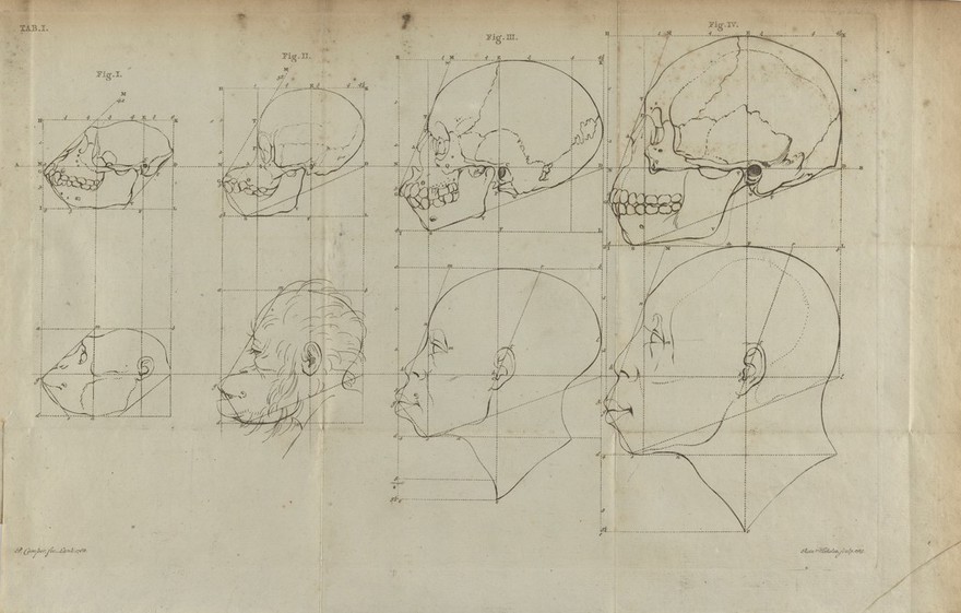 Dissertation physique ... sur les différences réelles que présentent les traits du visage chez les hommes de différents pays et de différents âges : sur le beau qui caractèrise les statues antiques et les pierres gravées. Suivie de la proposition d'une nouvelle méthode pour déssiner toutes sortes de têtes humaines / ... Publiée ... par ... Adrien Gilles Camper ... traduite du hollandois par Denis Bernard Quatremere d'Isjonval.