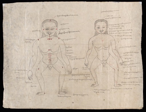 Human anatomy, ink drawing, Tibet.
