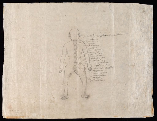 Human anatomy, ink drawing, Tibet.