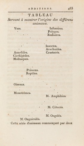 A phylogenetic tree. Philosophie zoologique, 1809.