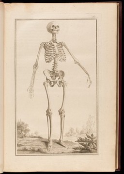Traité d'ostéologie, traduit de l'anglois de M. Monro, professeur d'anatomie, et de la Société Royale d'Edimbourg: où l'on a ajouté des planches en taille-douce, qui représentent au naturel tous les os de l'adulte et du foetus, avec leurs explications / Par M. Sue, professeur & démonstrateur d'anatomie aux Ecoles Royales de Chirurgie.