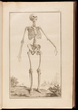 Traité d'ostéologie, traduit de l'anglois de M. Monro, professeur d'anatomie, et de la Société Royale d'Edimbourg: où l'on a ajouté des planches en taille-douce, qui représentent au naturel tous les os de l'adulte et du foetus, avec leurs explications / Par M. Sue, professeur & démonstrateur d'anatomie aux Ecoles Royales de Chirurgie.