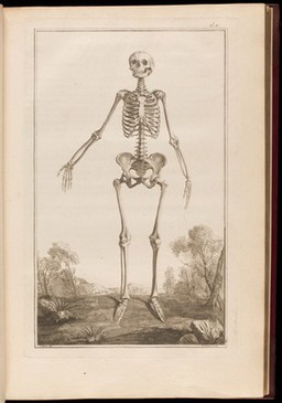 Traité d'ostéologie, traduit de l'anglois de M. Monro, professeur d'anatomie, et de la Société Royale d'Edimbourg: où l'on a ajouté des planches en taille-douce, qui représentent au naturel tous les os de l'adulte et du foetus, avec leurs explications / Par M. Sue, professeur & démonstrateur d'anatomie aux Ecoles Royales de Chirurgie.