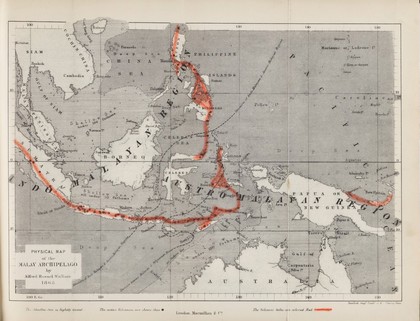 The Malay archipelago : the land of the orang-utan and the bird of paradise a narrative of travel, with studies of man and nature / by Alfred Russel Wallace.