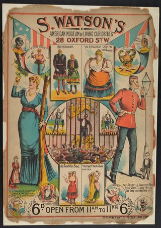 Racial types and people with physical abnormalities exhibited at S. Watson's American Museum of Living Curiosities. Colour lithograph.
