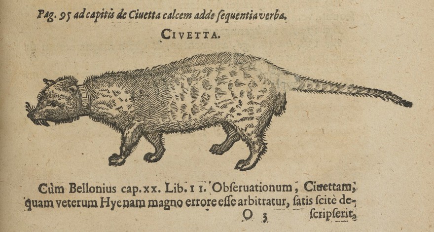 Caroli Clvsii Atrebatis Cvrae posteriores, sev plurimarum non antè cognitarum, aut descriptarum stirpium, peregrinorumqúe aliquot animalium novae descriptiones: quibus & omnia ipsius opera, aliáque ab eo versa augentur, aut illustrantur / Acessit seorsim Everardi Vorstii ... de eiusdem Caroli Clvsii vita et obitu oratio, aliorumqúe epicedia.