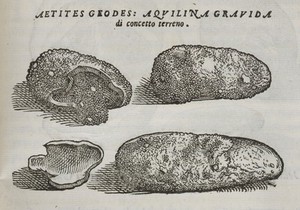 view Four eagle-stone geodes. Woodcut, 1599.