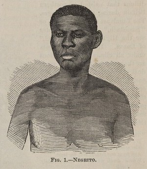 view "Fig. 1 - Negrito" The phrenological journal, 1870.