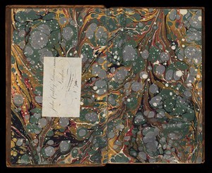 view Endpapers with marbling effect. In Volume 3 of 'The naturalists' miscellany...' by George Shaw, 1813.