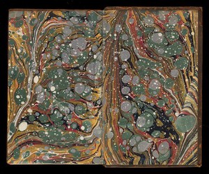 view Endpapers with marbling effect. In Volume 3 of 'The naturalists' miscellany...' by George Shaw, 1813.