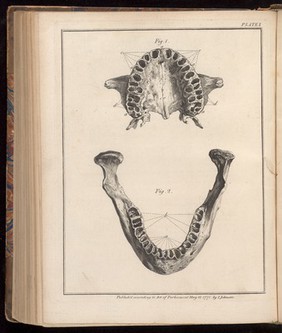 Plate I, The natural history of the human teeth.