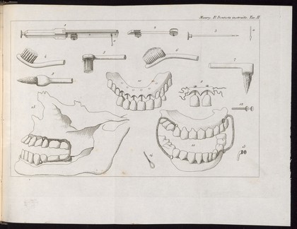 Illustration of dental prosthetics, brushes and instruments.