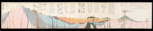 Geology: a cross section through mountains and a volcano, showing strata, and classes of animals above. Coloured engraving by J. Fisher after T. Webster and F. Buckland.