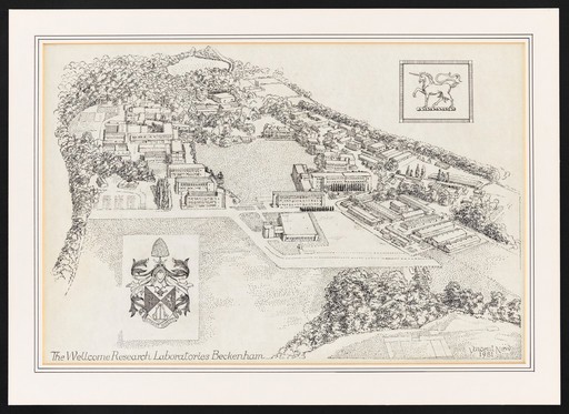 The Wellcome Research Laboratories, Beckenham: bird's eye view. Drawing by V. New, 1981.