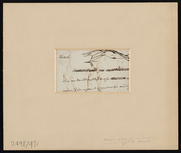 Anatomical figures. Ink drawing attributed to J. Flaxman, 18--.