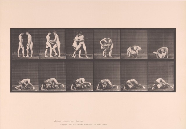 Two naked men face one another, grapple, one forces the other to the ground then lowers himself on top of him. Collotype after Eadweard Muybridge, 1887.