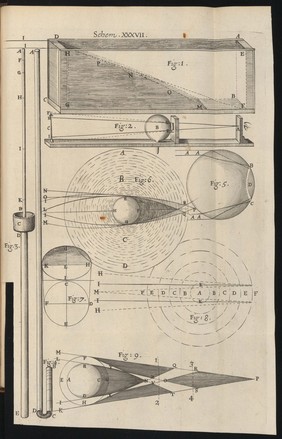 Engraving from Micrographia, 1665, by Robert Hooke.