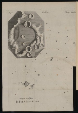 view Engraving from Micrographia, 1665, by Robert Hooke.