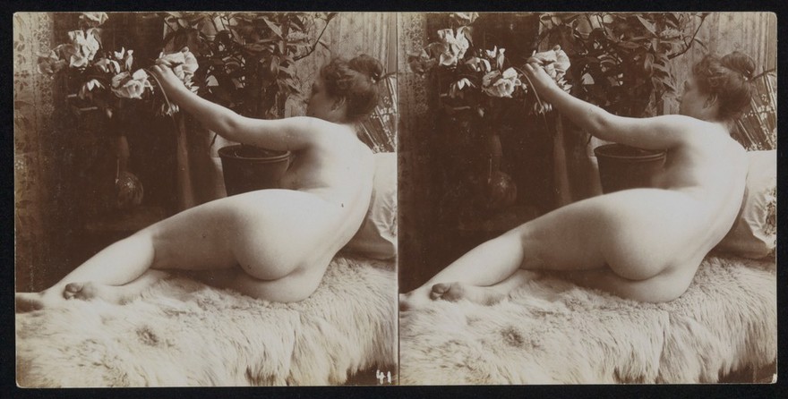 A young woman, posing naked in a photographic studio, lying full-length on a fur-covered sofa or day-bed, with her back to the camera. Stereo photograph, ca.1900.