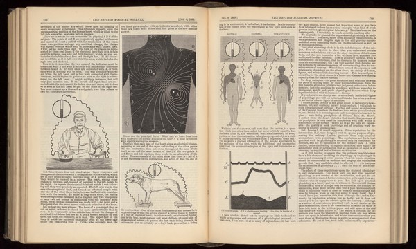 pp. 752-753. 'Introductory address on the electromotive...'