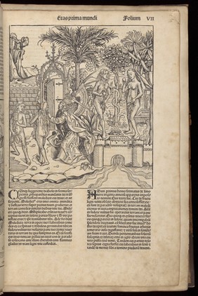 Adam and Eve in the Garden of Eden. Woodcut, 1493.