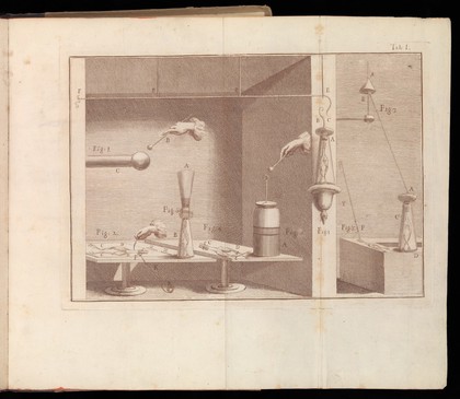 Table I, De viribus electricitatis...Luigi Galvani, 1792.