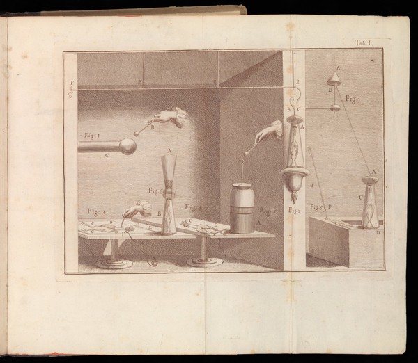 De viribus electricitatis in motu musculari commentarius, cum J. Aldini dissertatione et notis. Acc. epistolae ad animalis electricitatis theoriam pertinentes / [Luigi Galvani].