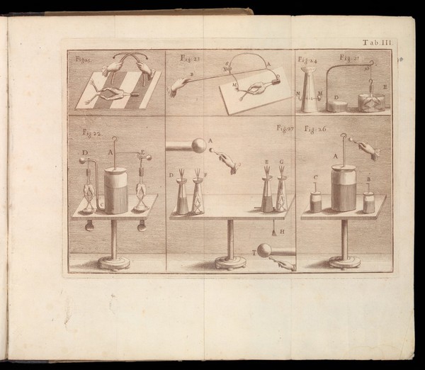 De viribus electricitatis in motu musculari commentarius, cum J. Aldini dissertatione et notis. Acc. epistolae ad animalis electricitatis theoriam pertinentes / [Luigi Galvani].