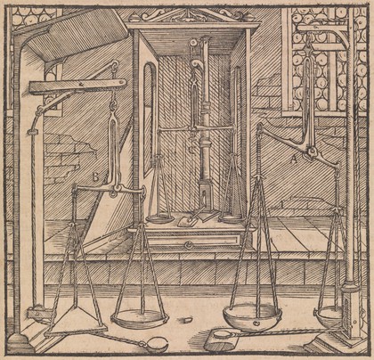 De re metallica libri XII. Quibus officia, instrumenta, machinae, ac omnia denique ad metallicam spectantia, non modo luculentissime describuntur, sed et per effigies ... adjunctis latinis germanicisque appellationibu ita ob oculos ponuntur, ut clarius tradi non possint. Ejusdem de animantibus subterraneis liber ... Cum indicibus diversis / [Georg Agricola].