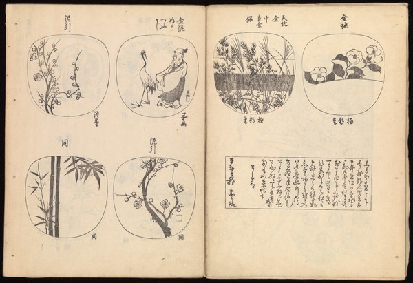 Illustration of decorative fans. Oriental MSS Japanese 48.
