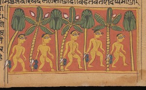 view Wellcome MS Indic Beta 1471