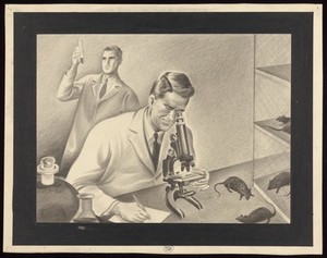 view Scientists experimenting with rats to investigate the plague. Drawing by A.L. Tarter, 194-.