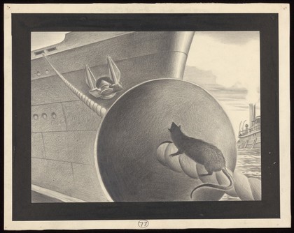 Obstructions on mooring-lines to stop rats boarding ships. Drawing by A.L. Tarter, 194-.
